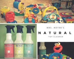 Natural Toy Cleaner