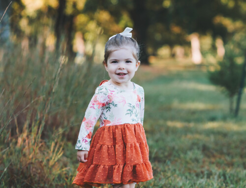 Fall Through My Eyes: 32 Family Sessions, Countless Stories